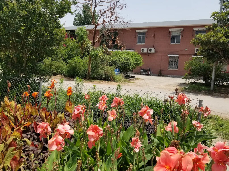 National Herbarium of Pakistan, Islamabad, Pakistan